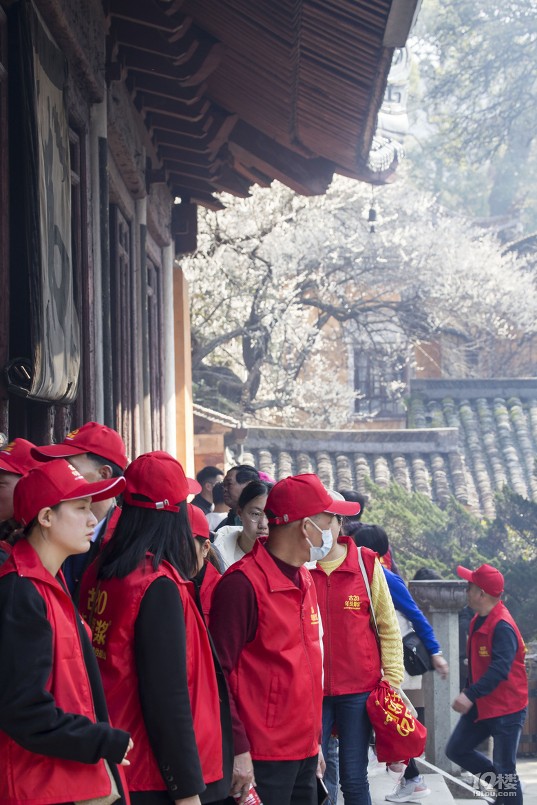 国清寺隋梅，古今交融之美的探秘