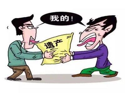 父母遗产继承新规解析，应对未来挑战的指南