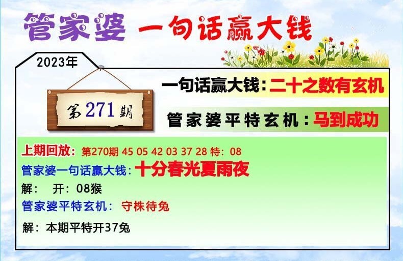 2024年12月5日 第10页