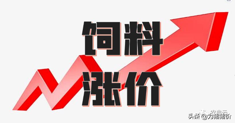 2024澳门原料网大全,快速解答方案执行_安卓版52.432