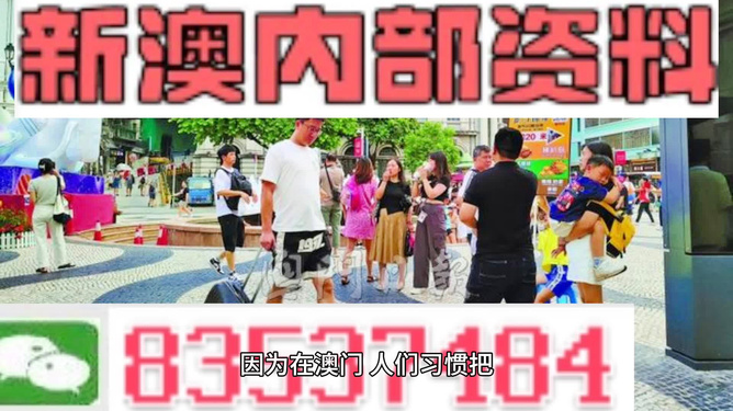 2024澳门正版免费精准资料,专业解析评估_app94.567