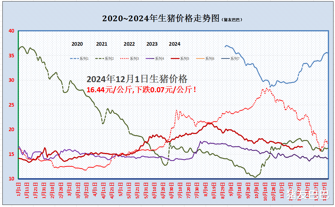 2024年12月7日 第10页