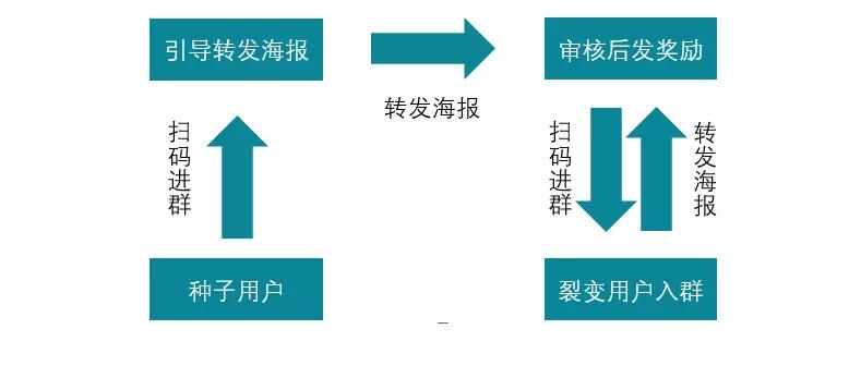 澳门4949彩论坛高手,实用性执行策略讲解_开发版1