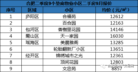 2024年新澳历史开奖记录,完善的执行机制解析_冒险款67.262