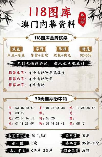 澳门正版精准免费大全,全面执行计划_入门版94.254