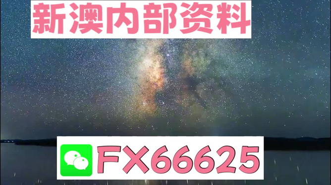 2024新澳天天彩免费资料单双中特,绝对经典解释落实_标配版33.979