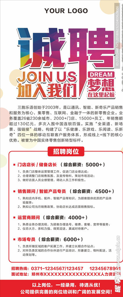 最新公司单位招聘信息全面概览