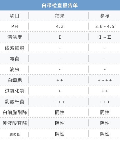 2024澳门天天开好彩免费大全,实地评估数据方案_Phablet79.114