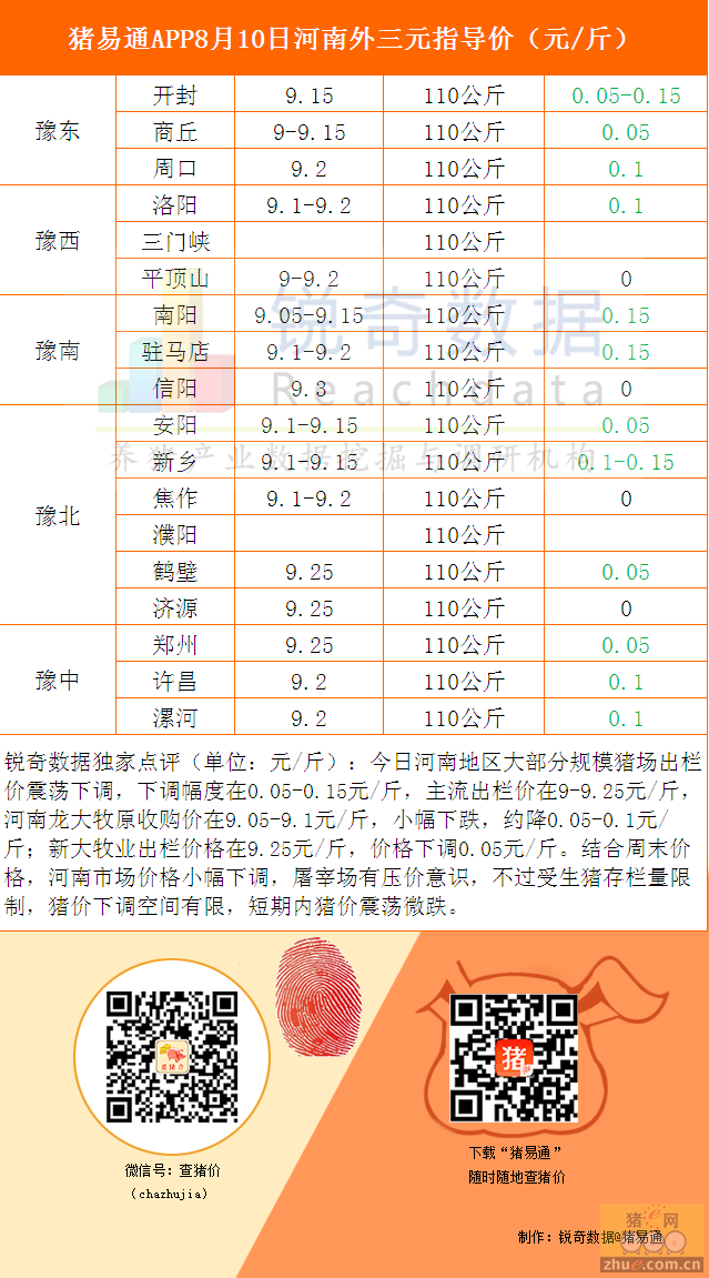 2024年12月11日 第12页