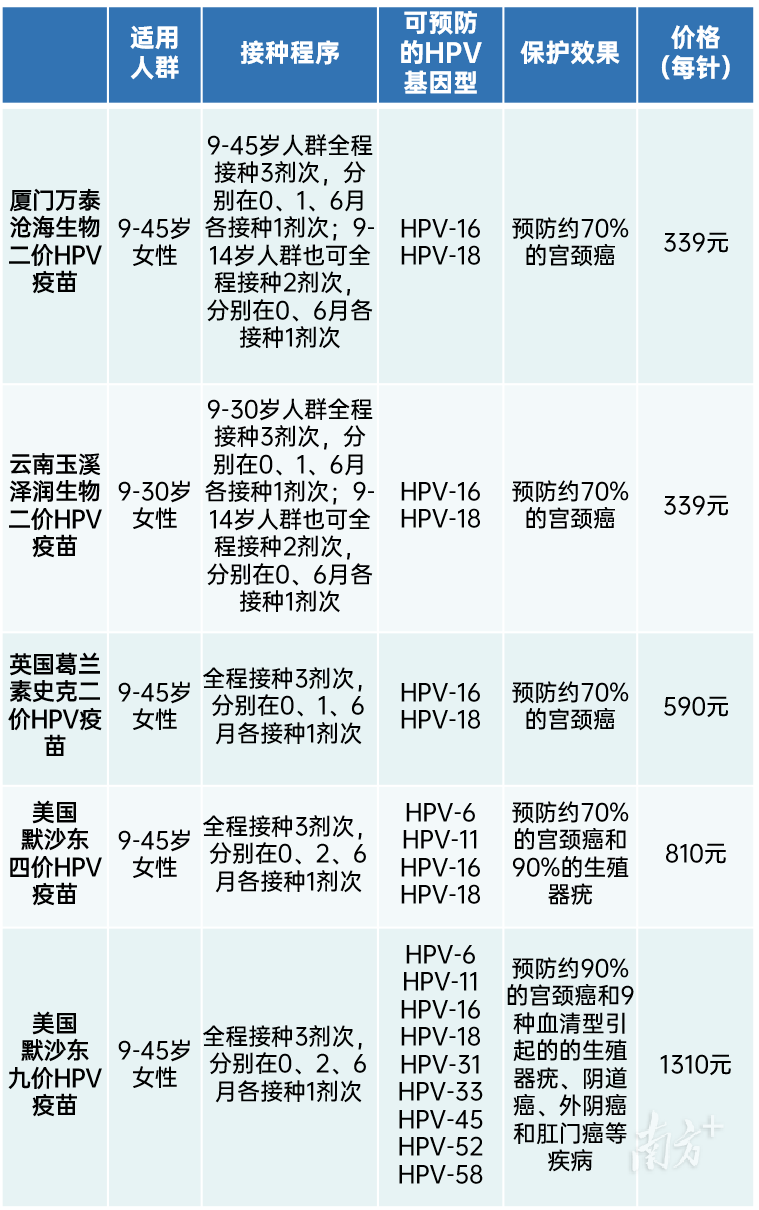 2024年12月11日 第4页