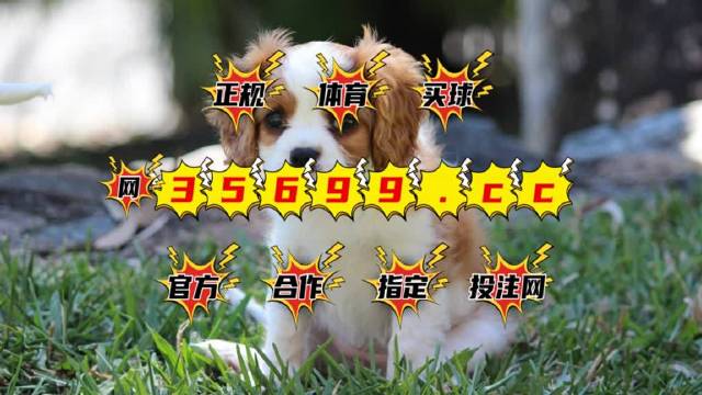 4949澳门特马今晚开奖53期,现状解答解释定义_入门版29.877