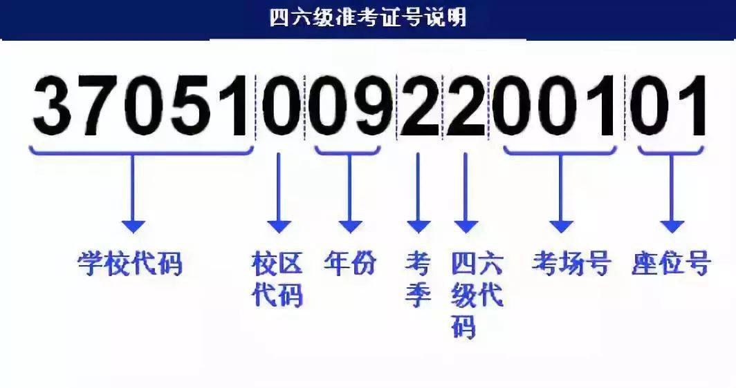 新澳门期期精准准确,最新解答方案_Pixel37.686