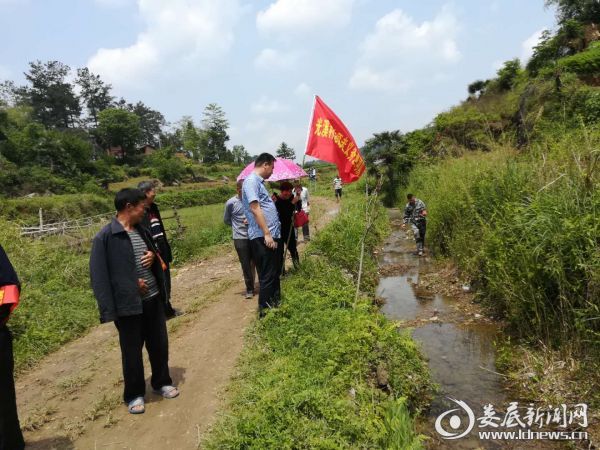 乡村繁荣发展的时代脉搏揭秘，最新一期乡村新篇章开启