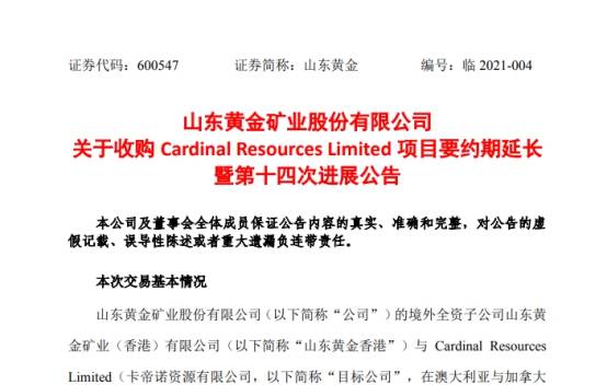 新澳黄金六肖i,实践案例解析说明_L版89.214