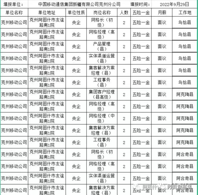 新疆移动公司招聘启事，探寻未来合作伙伴，共启新征程