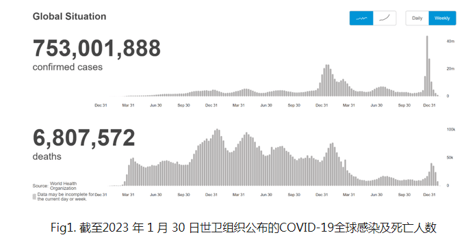 全球新冠死亡人数最新统计报告发布