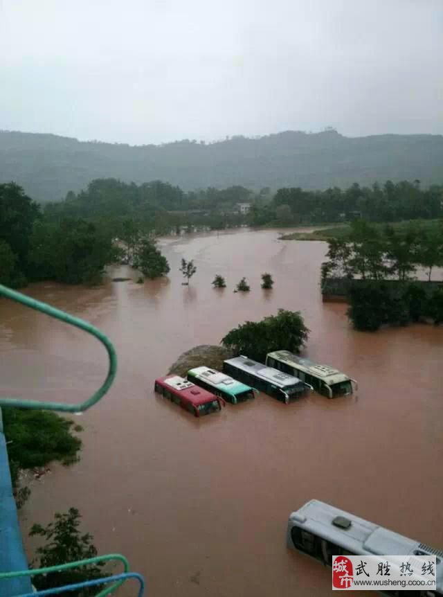 邻水暴雨最新动态，挑战应对与暴雨影响全解析