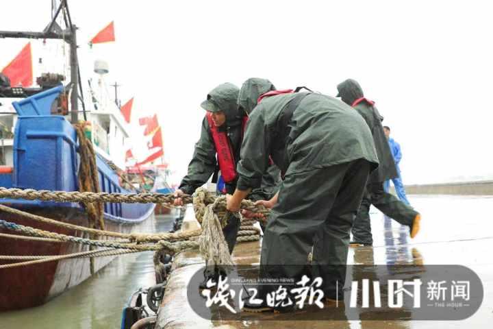 台风最新路径报告，动态分析及其影响区域概述