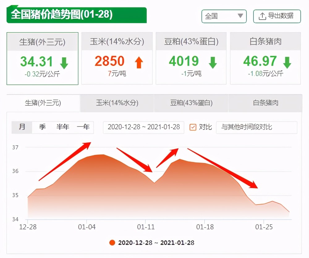 今日全国生猪价格最新动态分析