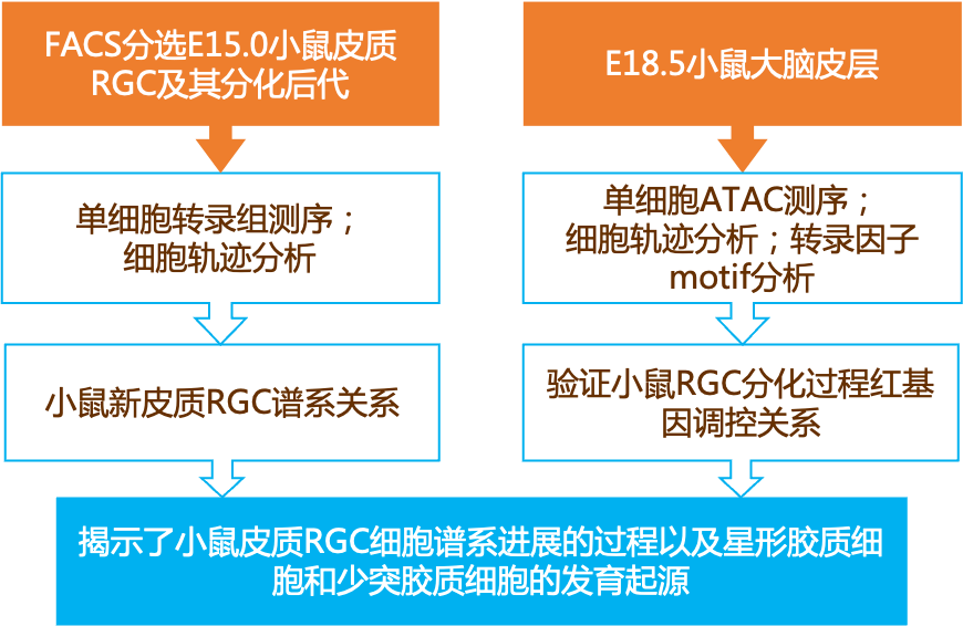 论文 第14页