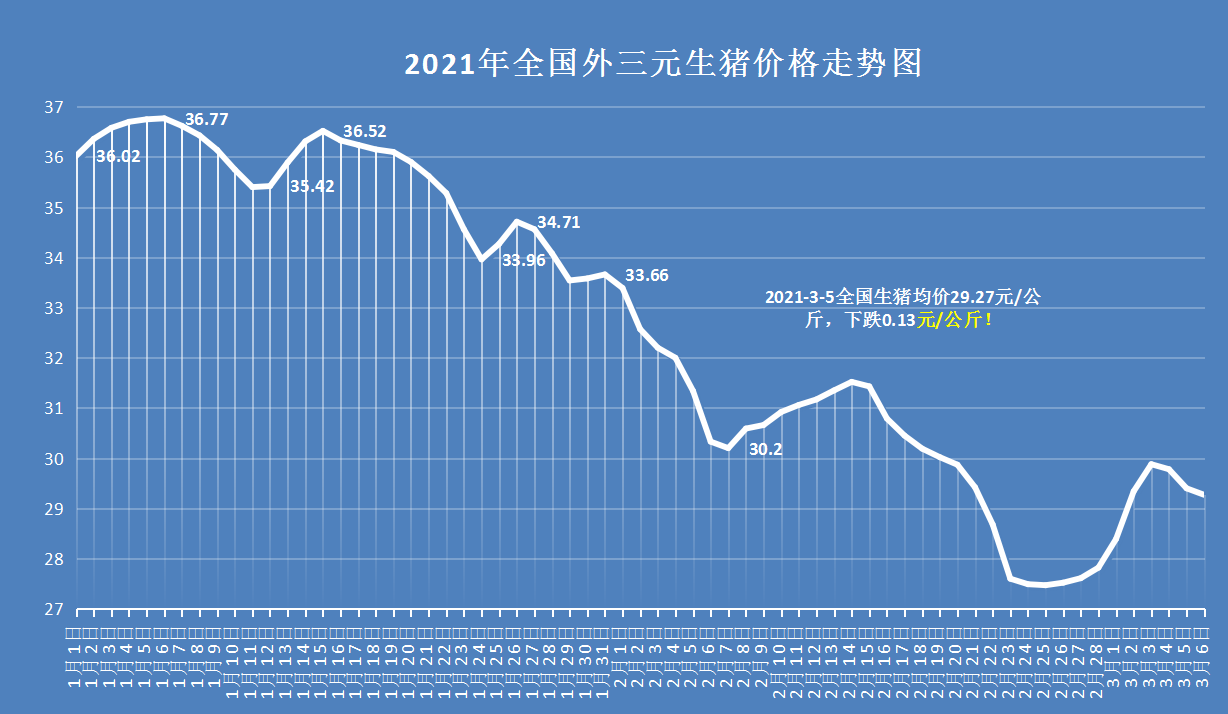 甘肃省生猪价格最新动态解析