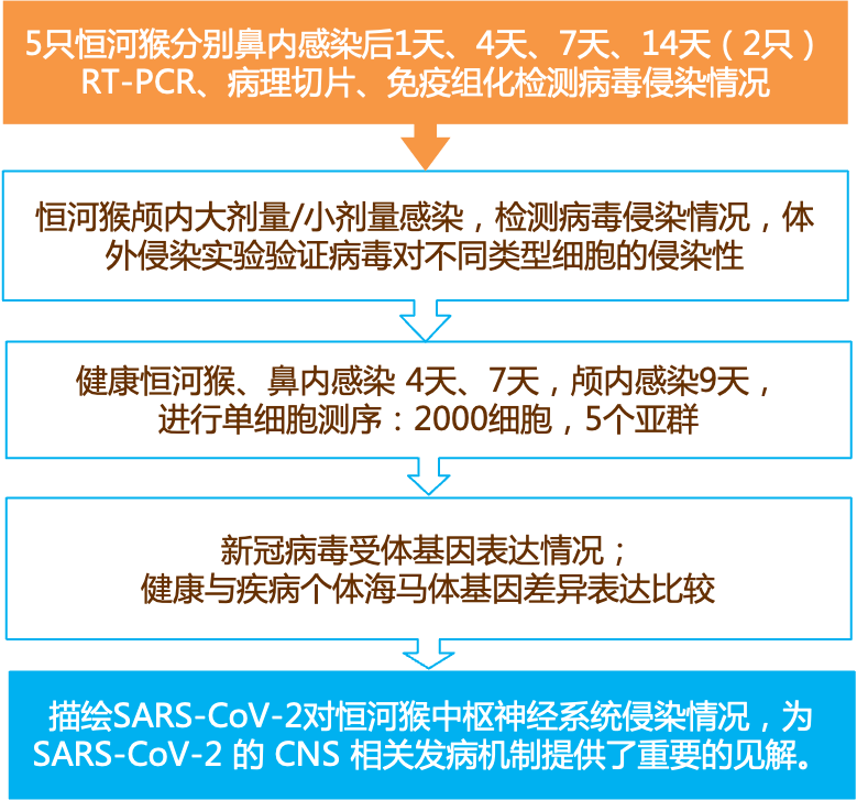 新奥免费精准资料大全,最新分析解释定义_SE版71.956