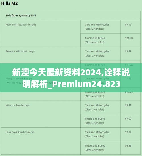 2024新澳精准资料免费,动态解析词汇_U20.824