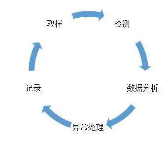 新澳资料免费精准期期准,高效计划分析实施_3K11.805