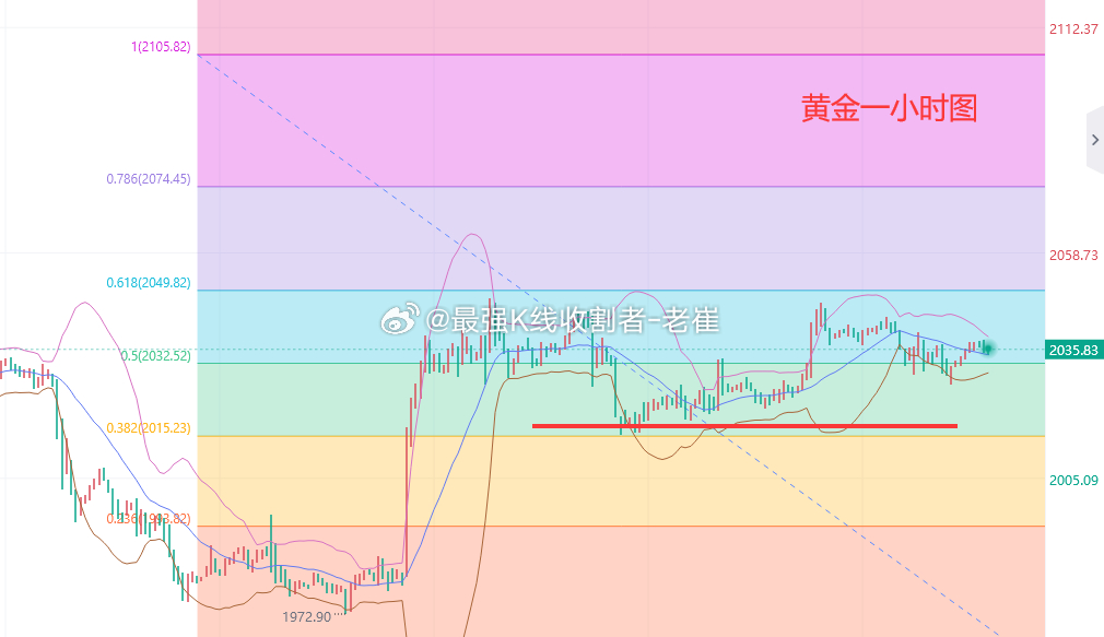 黄金行情今日最新分析