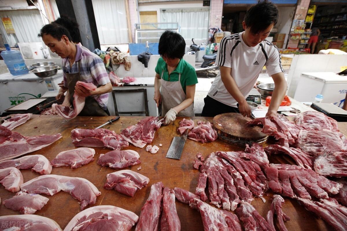 广西今日生猪最新价格动态解析