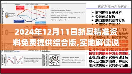 2024新奥资料免费精准资料,快捷问题解决指南_限定版25.699