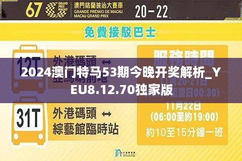 2024新澳门今晚开特马直播,可靠性方案操作策略_试用版20.775