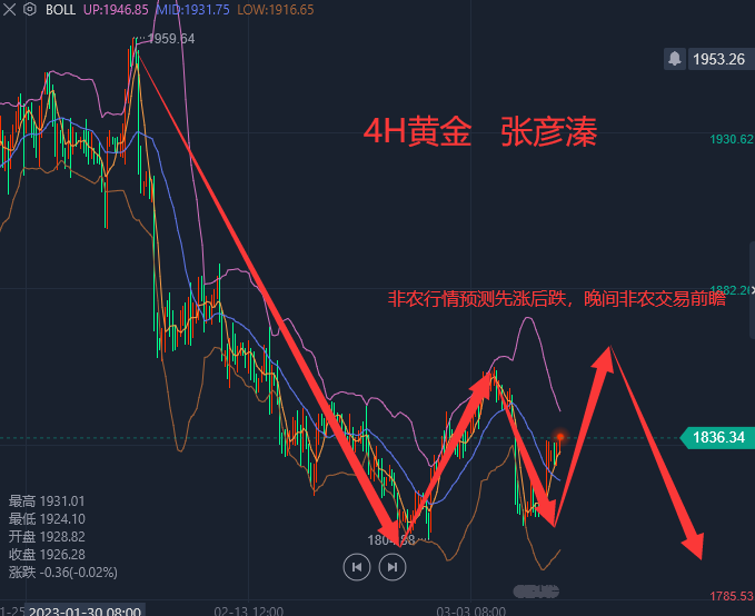 今日行情深度解读，最新走势、市场趋势与展望