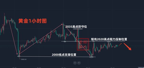 新奥天天正版资料大全,未来趋势解释定义_X73.142