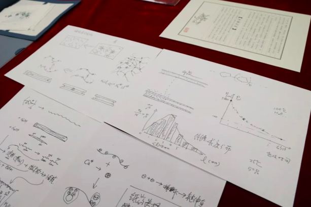 626969澳彩资料2024年,科学研究解析说明_复刻款96.564