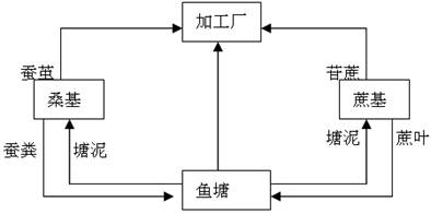 2024澳门特马今晚开奖图纸,实地分析数据应用_nShop66.226