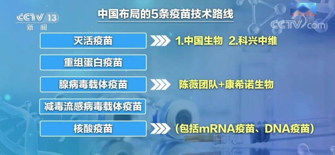 国产疫苗最新动态，进展、挑战与未来展望