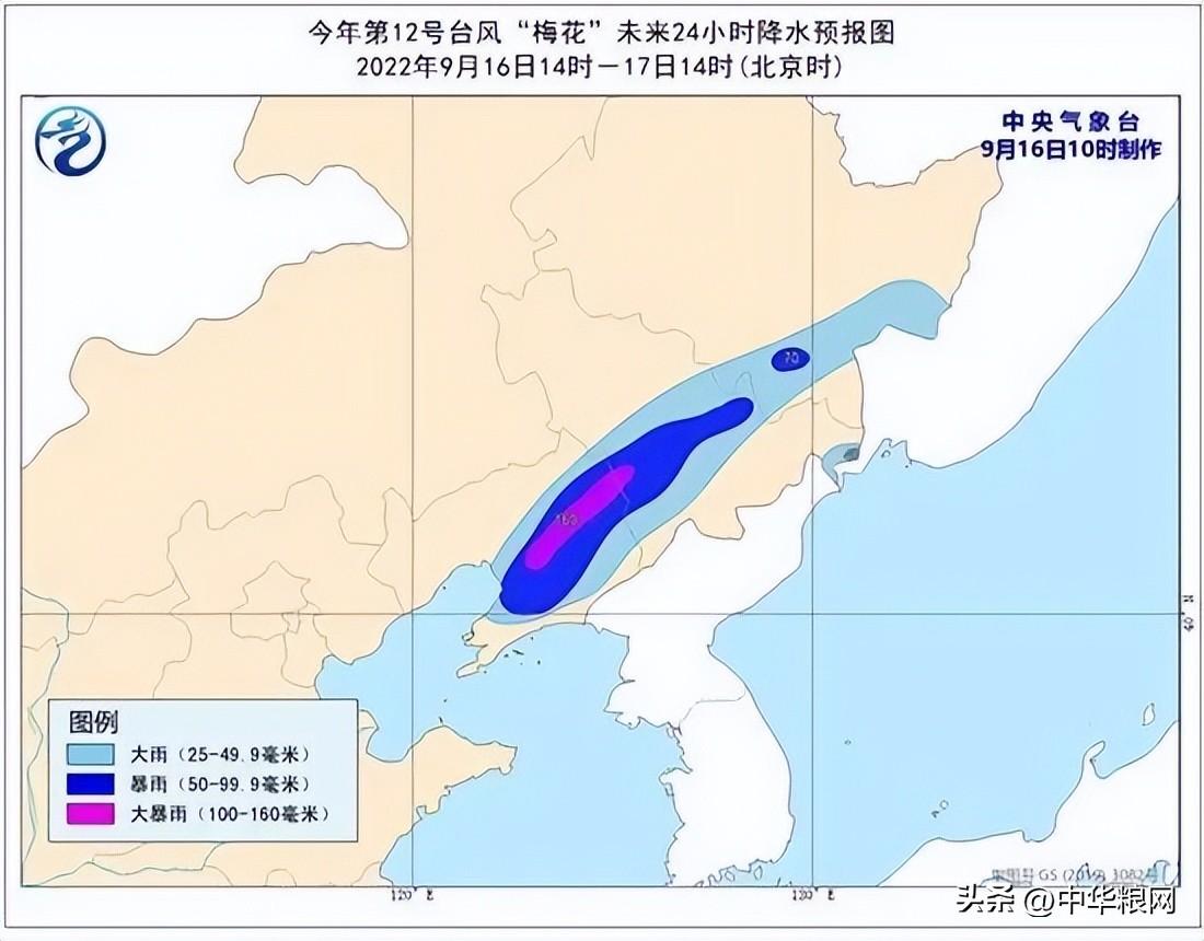 东北面临台风严峻挑战，最新动态与应对策略