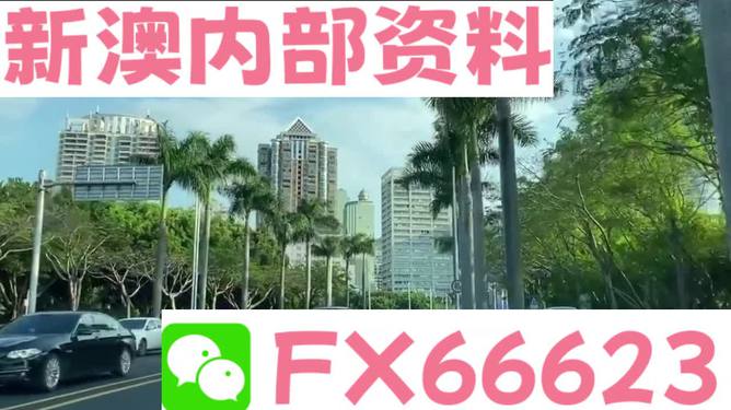 新澳精准资料免费提供网,最佳精选解析说明_精英款94.253