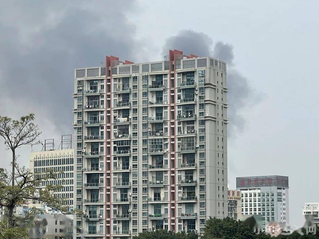 蔡塘起火事件深度剖析