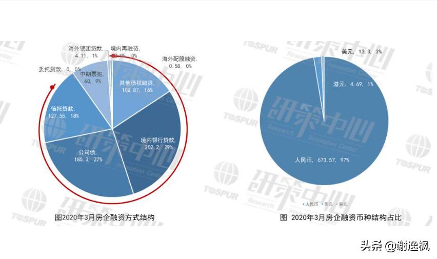 谢逸枫最新动态揭秘，多重身份下的最新消息与进展