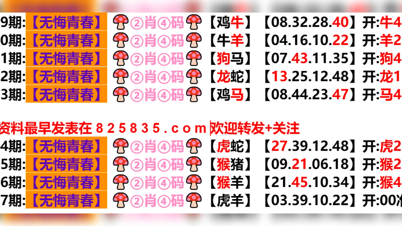 2024新澳门天天开好彩大全孔的五伏,最新热门解答落实_升级版8.163