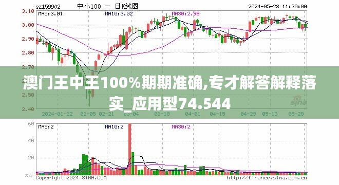 澳门王中王100%期期中,精细化策略探讨_精装版44.374