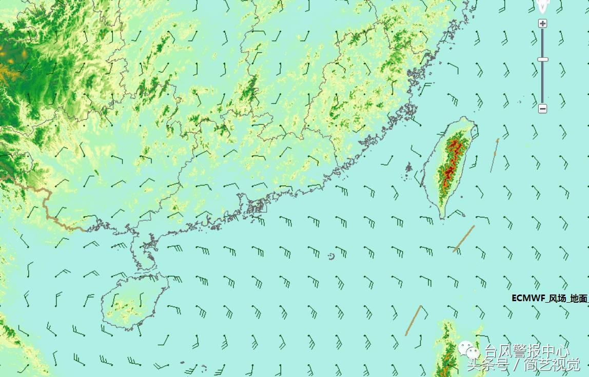 广东最新台风动态及影响概述