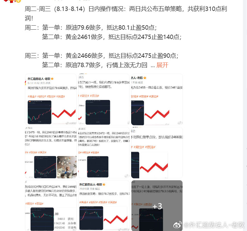 王中王一肖一特一中4论坛，统计解答解释落实_vg76.69.47