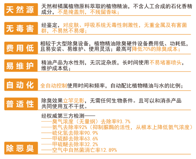 新澳天天开奖资料大全600Tk，构建解答解释落实_ku82.04.91