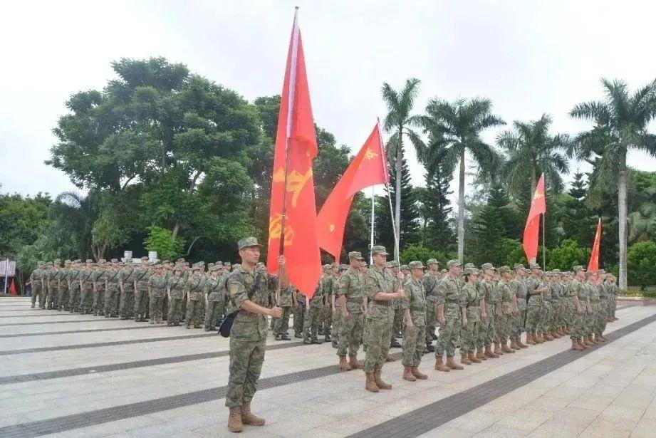 热血青春从军记，荣耀铸就时刻