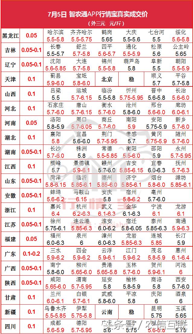 最新明日生猪价格分析与预测，走势分析与趋势展望