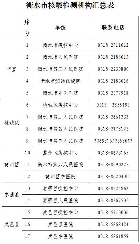 衡水最新动态，城市发展与变迁的脉搏