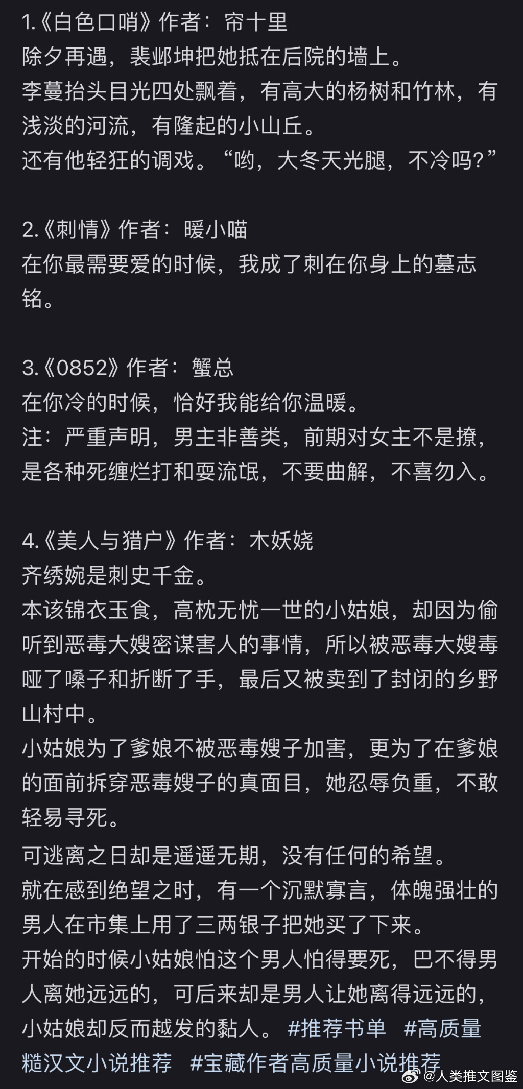 糙文最新，时代浪潮中的创新表达探索